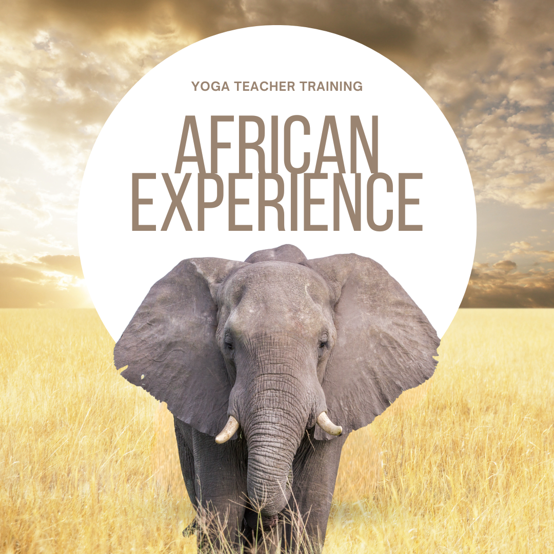 African Experience Yoga Teacher Training