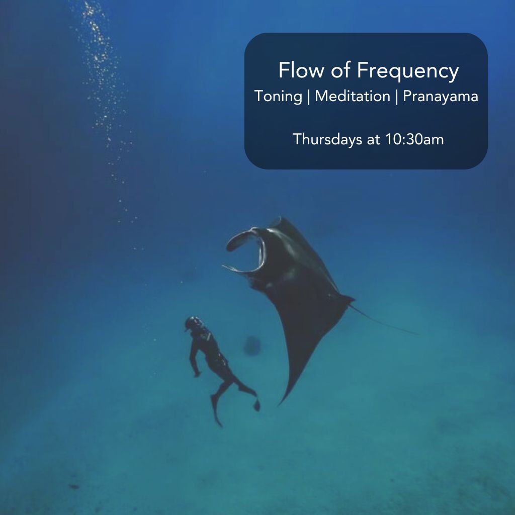 The Source - Flow Of Frequency