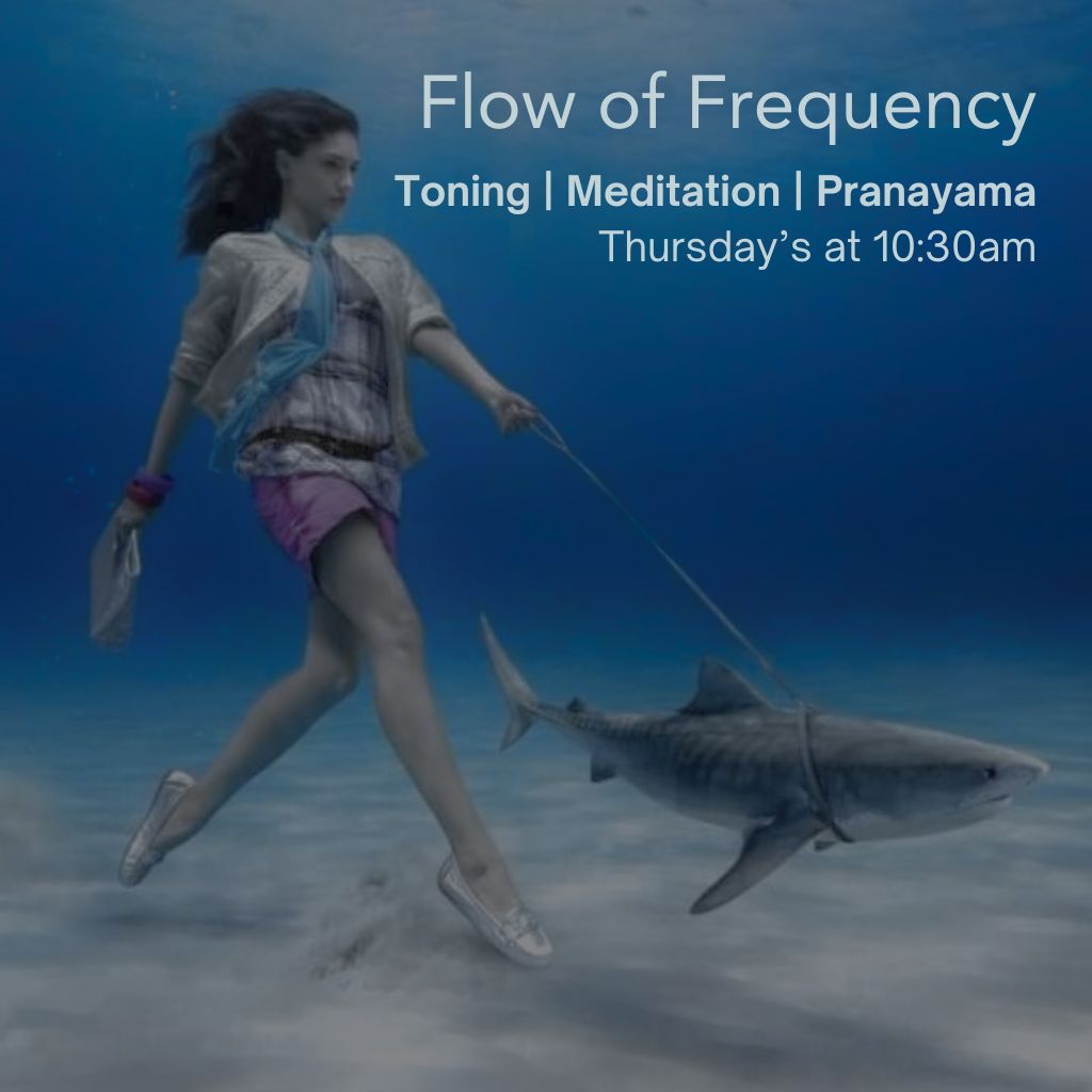 The Source - Flow Of Frequency
