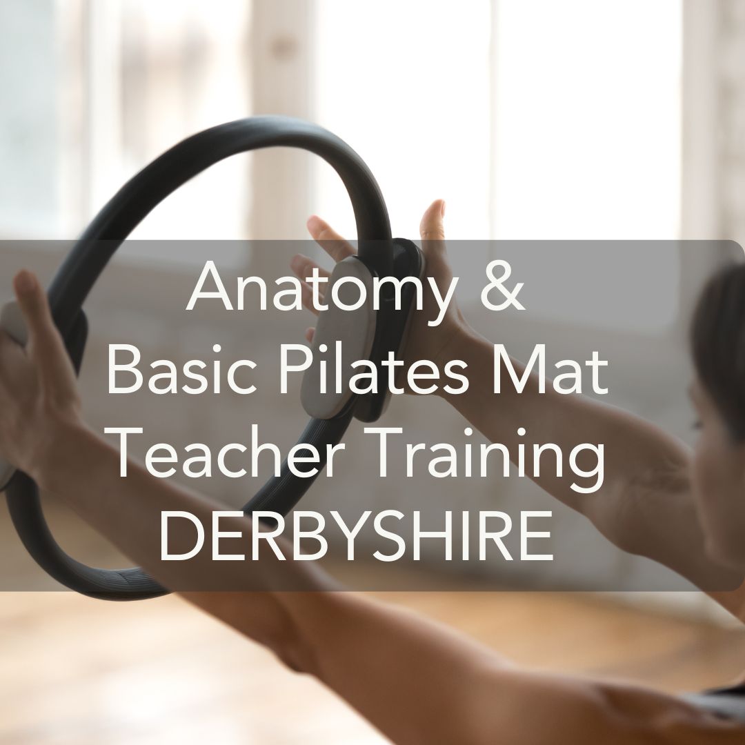 Basic Pilates Mat Teacher Training